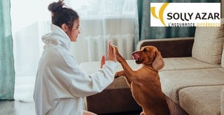 Comment résilier une mutuelle animaux Solly Azar ?