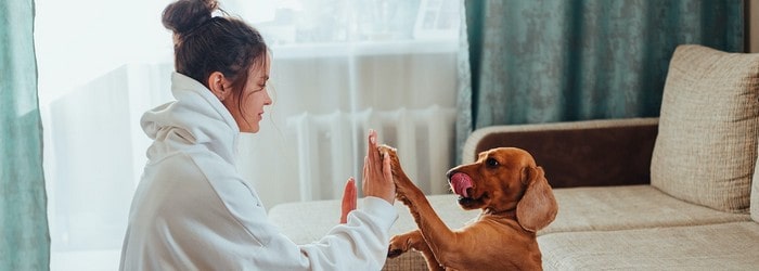 La résiliation d'une mutuelle animaux Solly Azar