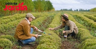 Comment résilier un abonnement Détente Jardin ?