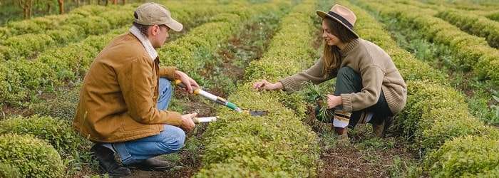 La résiliation d'un abonnement Détente Jardin