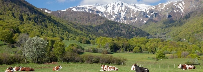 La résiliation d'un abonnement La Montagne