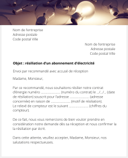 lettre resiliation electricite pro