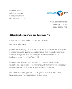la lettre pour resilier une box internet bouygues pro