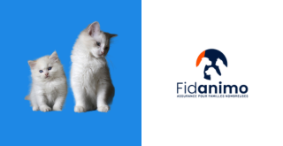 Comment résilier une mutuelle pour animaux Fidanimo ?