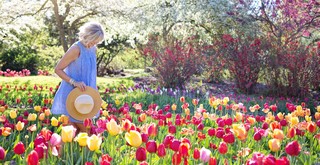 Comment résilier un abonnement au magazine Mon jardin et Ma maison ?