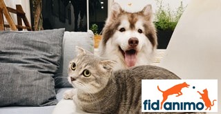 Comment résilier une mutuelle pour animaux Fidanimo ?