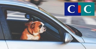 Comment résilier une assurance auto CIC ?